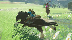 The Legend of Zelda: Breath of the Wild (Nintendo Switch) - Nintendo eShop Account - GLOBAL