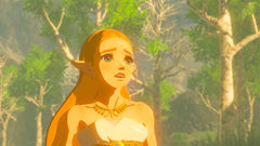 The Legend of Zelda: Breath of the Wild (Nintendo Switch) - Nintendo eShop Account - GLOBAL